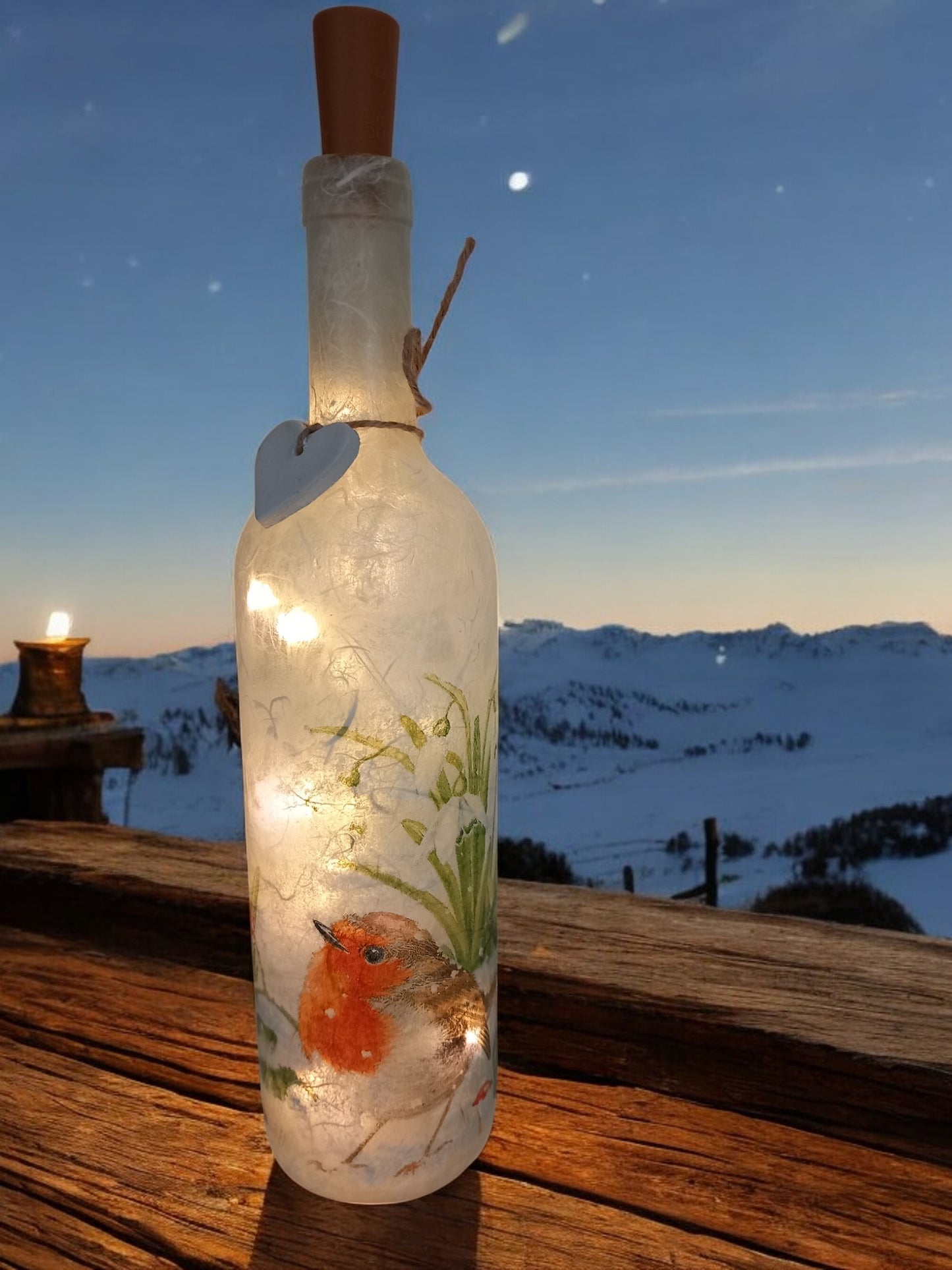 Light up Robin bottle
