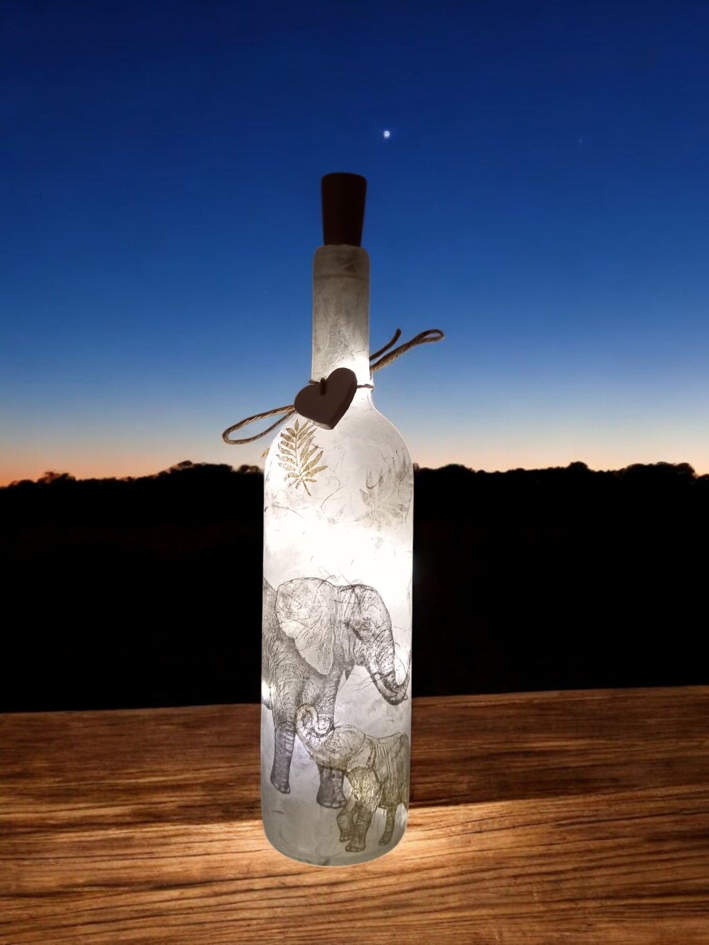 Elephant light up bottle